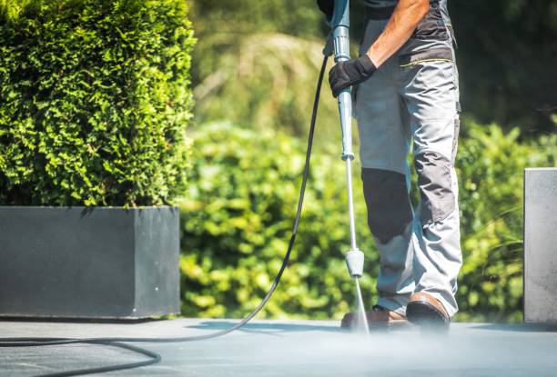 Best Driveway Pressure Washing  in Malaga, NJ